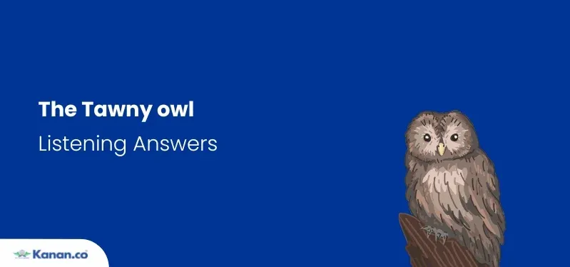 the tawny owl listening answers