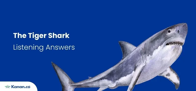 The Tiger Shark
