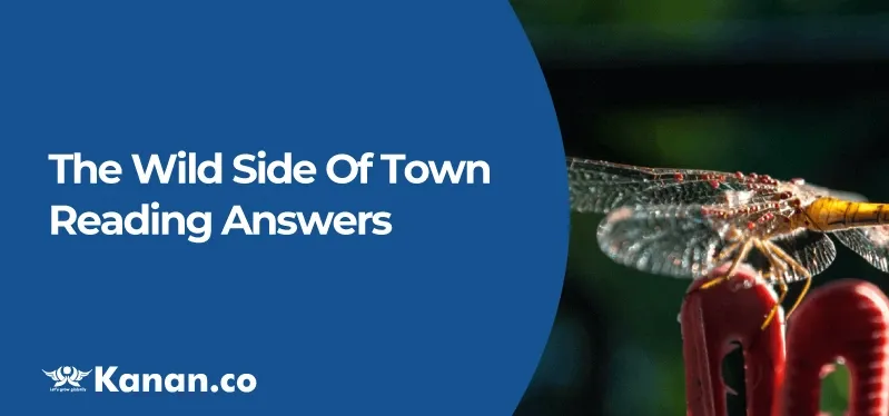 the-wild-side-of-town-reading-answers.webp