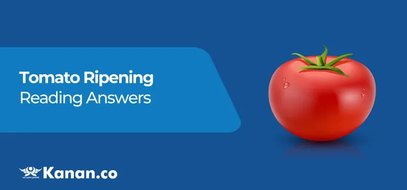 tomato-ripening-reading-answers.webp