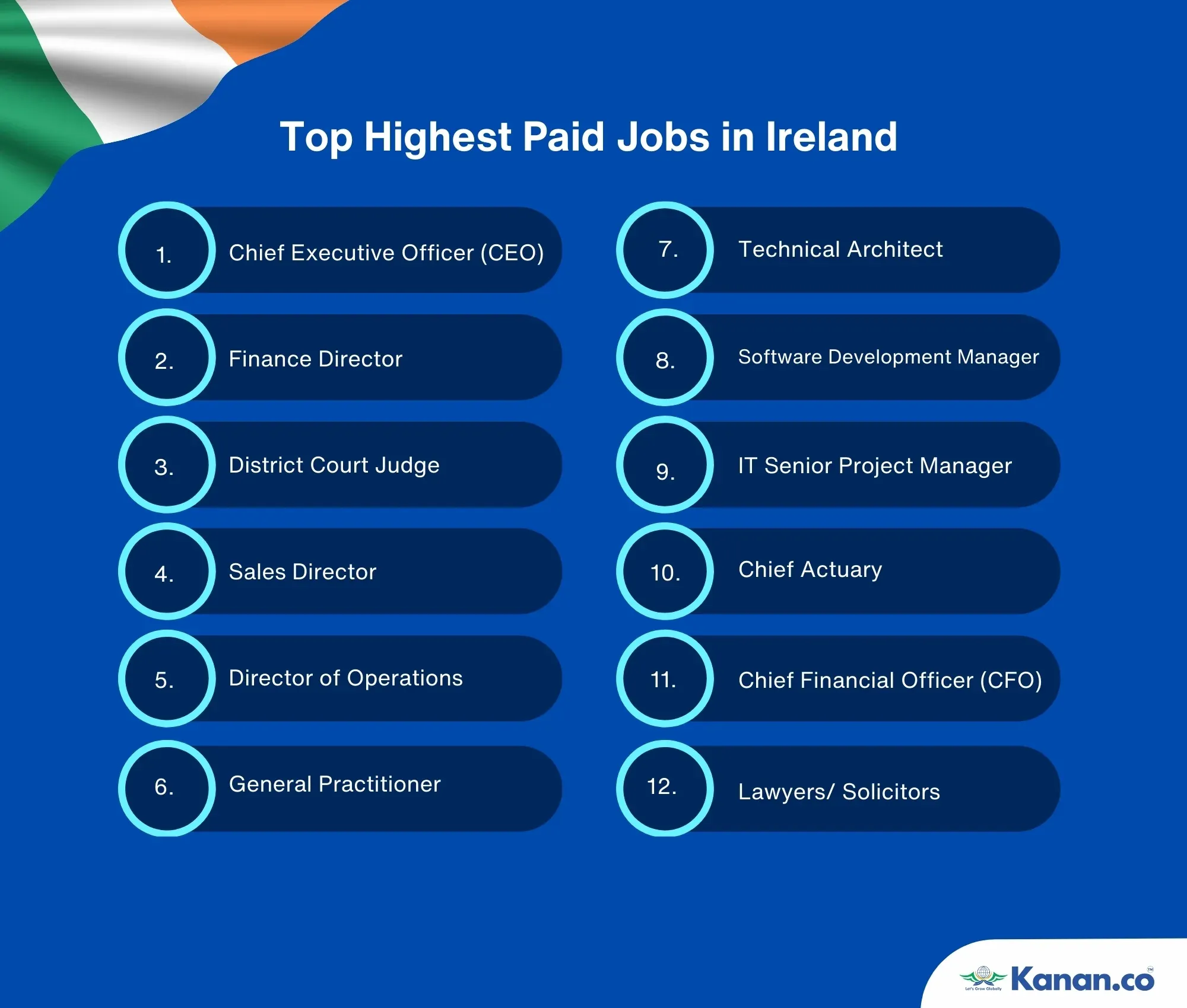 Top Highest Paid Jobs in Ireland