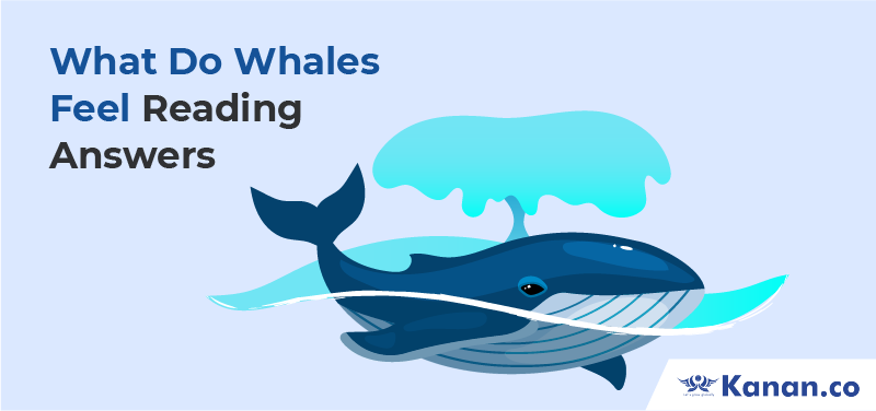 What Do Whales Feel Reading Answers