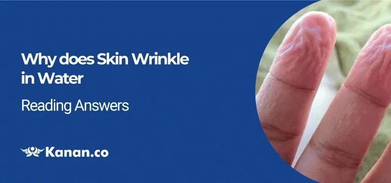 Why does skin wrinkle in water