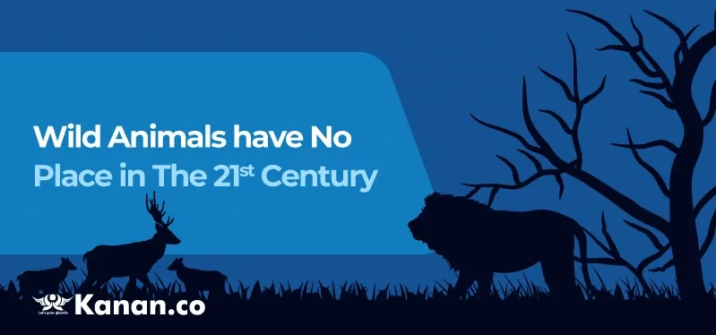 wild-animals-have-no-place-in-the-21st-century.webp