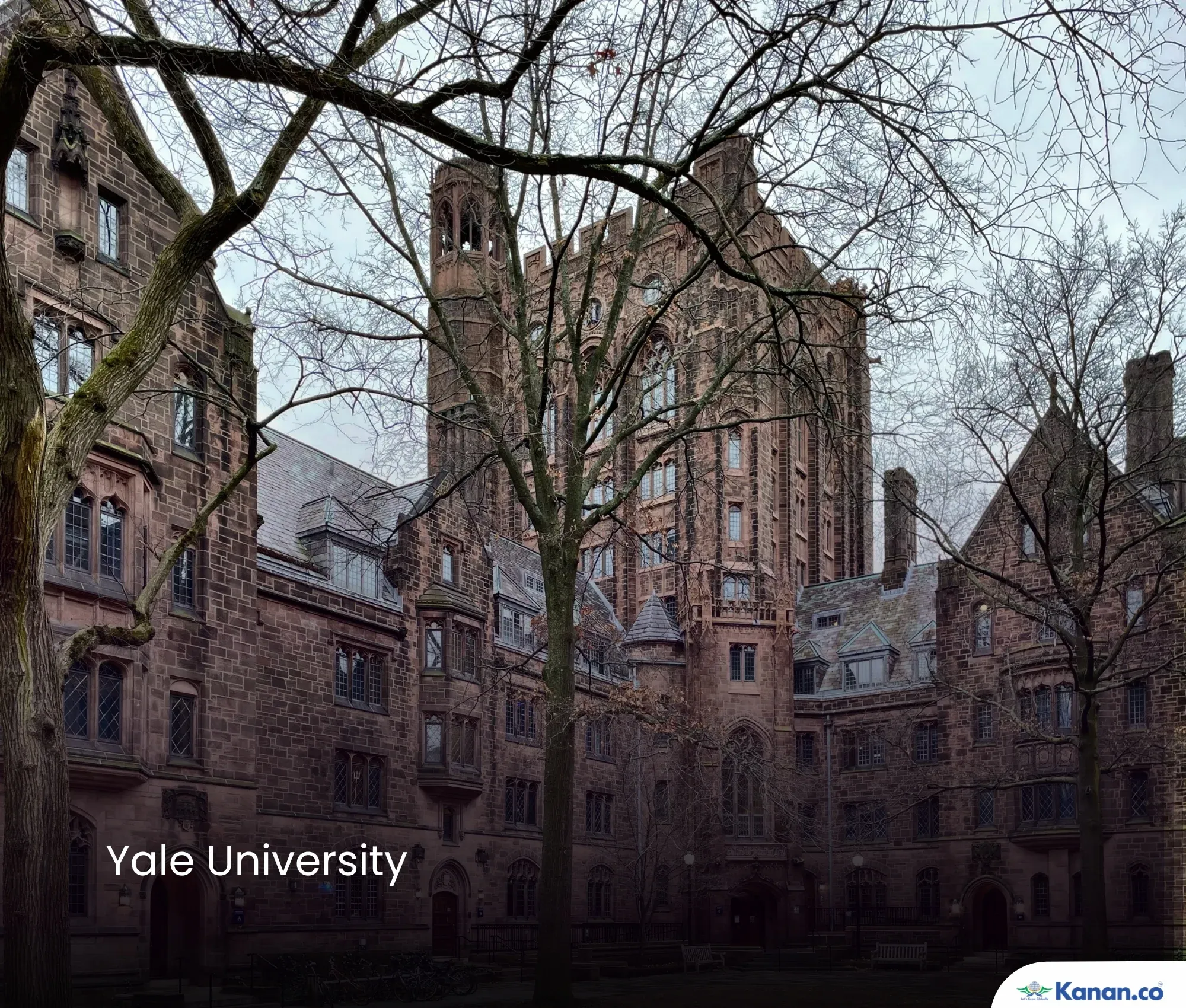 Yale University