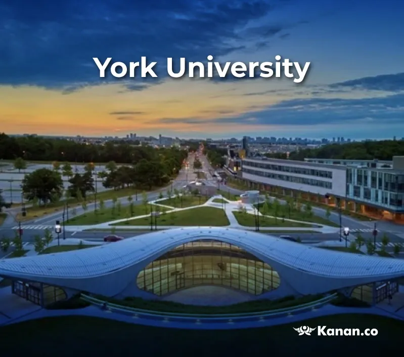 York university